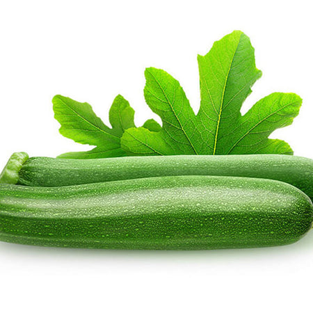 Jumper With Turtle Neck