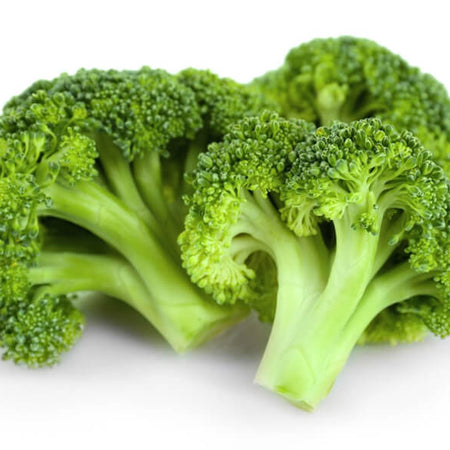 Indigo With Zip Dress