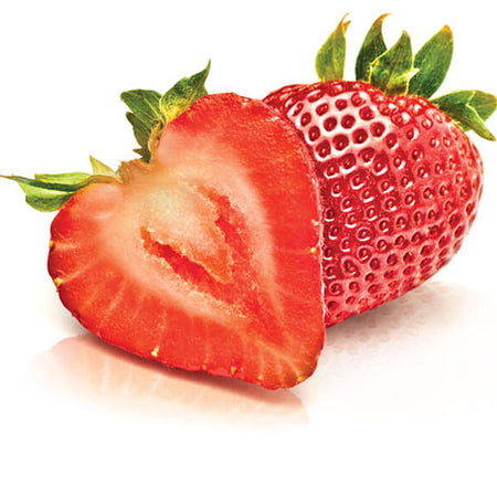 Jumper With Turtle Neck