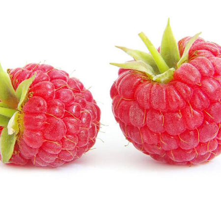 Blue Lace Long Sleeve Dress