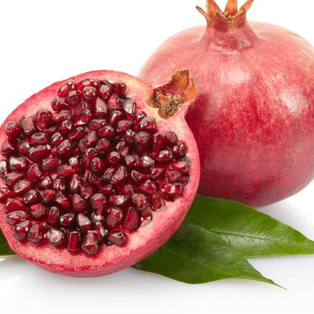 Patch Pocket High Waist  shorts