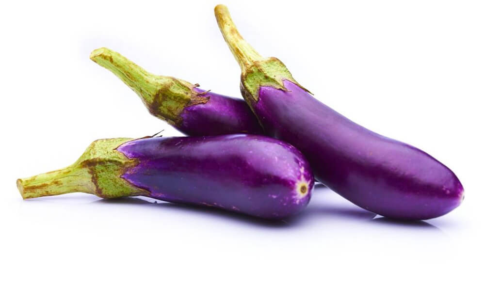 Patch Pocket High Waist  shorts