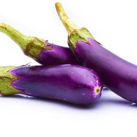 Product Center Images