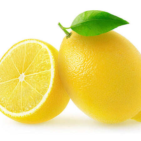 Patch Pocket High Waist  shorts